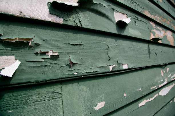 Best Commercial Junk Removal  in North Liberty, IN